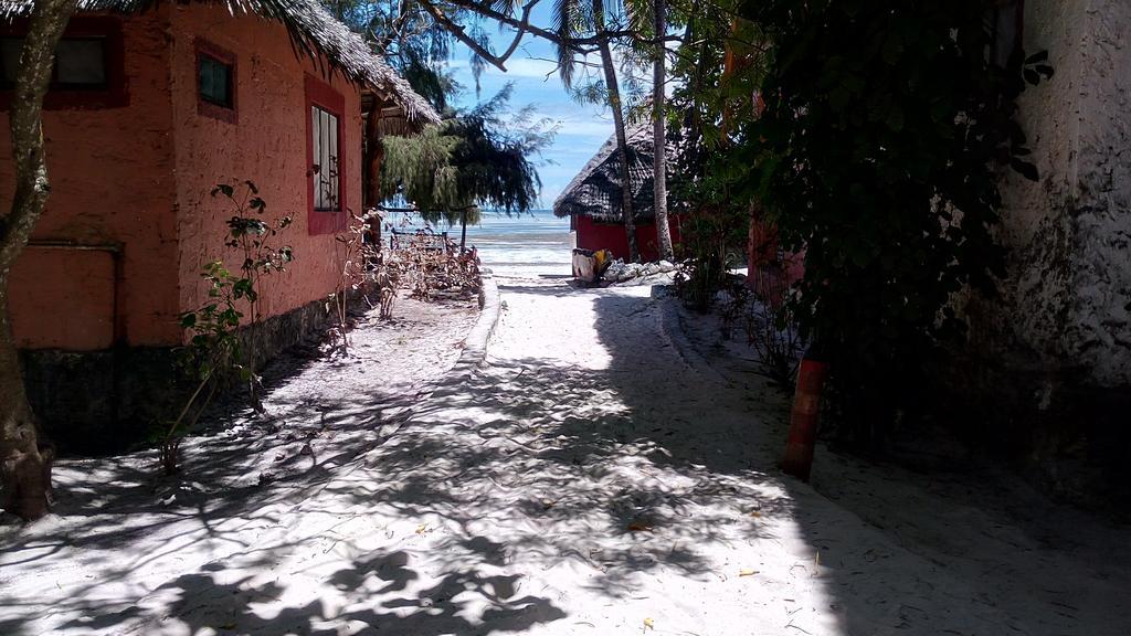 Twisted Palms Lodge & Restaurant بويجو المظهر الخارجي الصورة